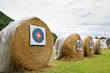 target archery in field