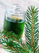 Foto: Fichtennadel - Wellness Fichtennadel - Wellness