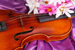 Classical violin on fabric background