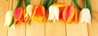 Beautiful white and orange tulips on wooden background