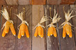 Dried corn hung on the wall.
