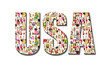 a lot of people portraits - USA