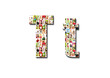 lot of people portraits - letter T large size