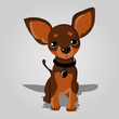 Cute dog