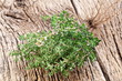 Photo: Thyme herb. Thyme herb.