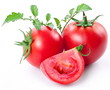 Tomatoes