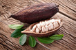 Cocoa pod