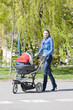 woman with a pram on spring walk