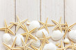 Sea shells