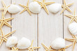 Sea shells