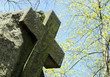 Foto: friedhof 2404b friedhof 2404b