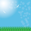 Vector: Summer background whit grass. Summer background whit grass.