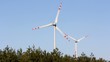 windmill