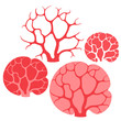 Red coral