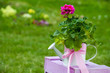 Gartenidylle