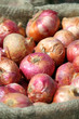 Big sack with onions