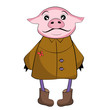 pig in a coat