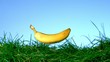 Видео: Banana falling and bouncing on grass Banana falling and bouncing on grass