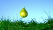 Видео: Pear falling in the grass on blue background Pear falling in the grass on blue background