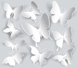 Vector: Set of paper butterfly Set of paper butterfly