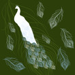 White  peacock