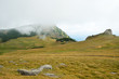 Carpathian mountains