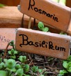 Foto: Garten Garten
