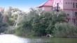 Pond and Fort