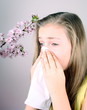 Girl blows her nose with handkerchief, cherry blossoms