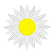 flower on white background