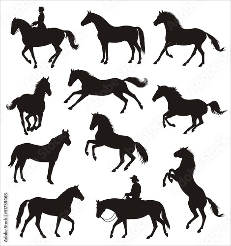 Vector: silhouettes of horses silhouettes of horses