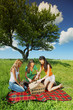 Photo: girlfriends on picnic girlfriends on picnic