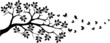 tree silhouette with butterfly flying