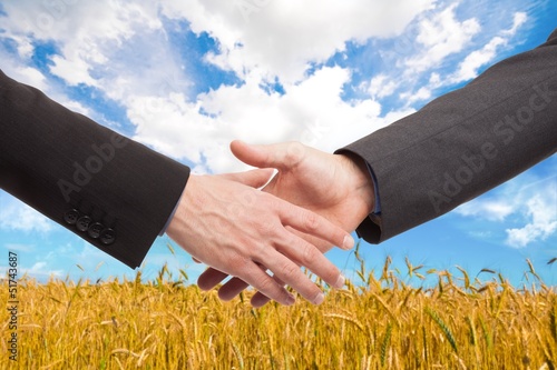 Photo: People shaking hands in a wheat field People shaking hands in a wheat field