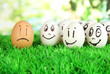 Foto: Eggs with funny faces on grass on bright background Eggs with funny faces on grass on bright background
