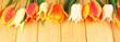 Beautiful white and orange tulips on wooden background