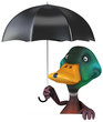 Fun duck