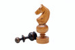 The chess pieces on the white