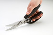 Culinary  Kitchen Scissor