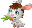 rabbit and carrot