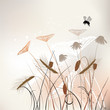 Floral background, meadow in summer time