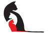 three cats