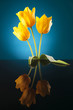 most beautiful yellow tulips