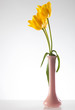 three lovely yellow tulips in a purlpe vase