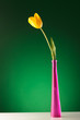 beautiful yellow tulip in a pink vase