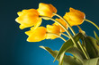 back of a gorgeous bouquet of yellow tulips