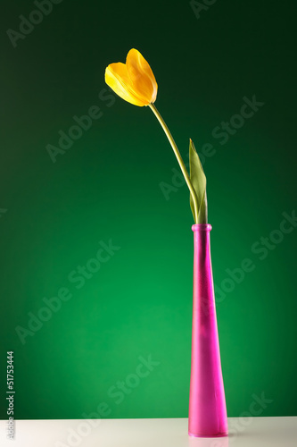 Photo: beautiful yellow tulip in a pink vase beautiful yellow tulip in a pink vase