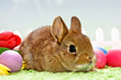 Baby Kaninchen mit Blumen und Ostereiern