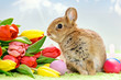 Baby Kaninchen mit Blumen und Ostereiern
