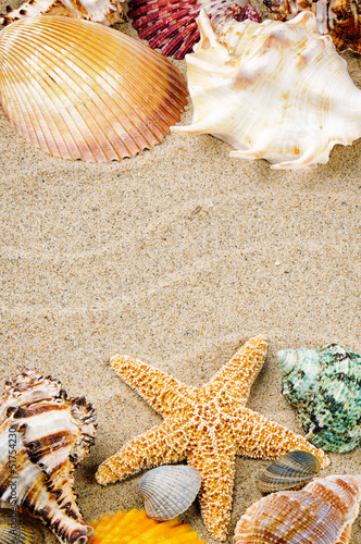 Photo: Marine frame with colorful sea shells Marine frame with colorful sea shells